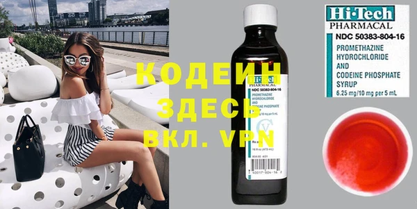 прущие грибы Карпинск