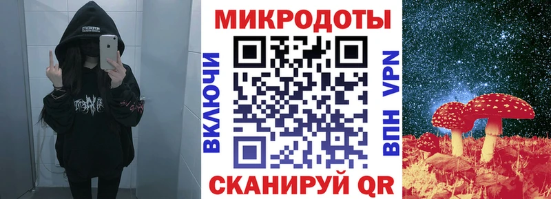 Галлюциногенные грибы Psilocybe  Купить  Дедовск 
